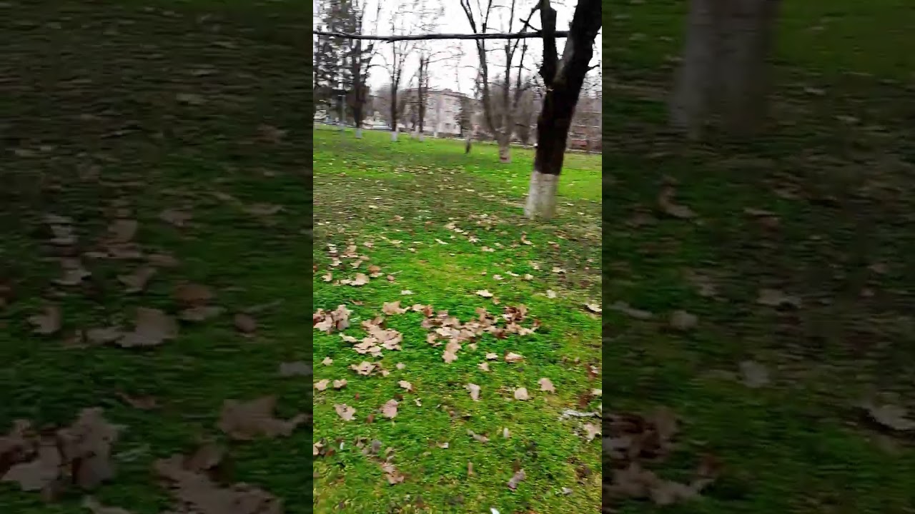 Пошла гулять в гости прогуляться и на улице очень хорошо 16 марта 2026 г.