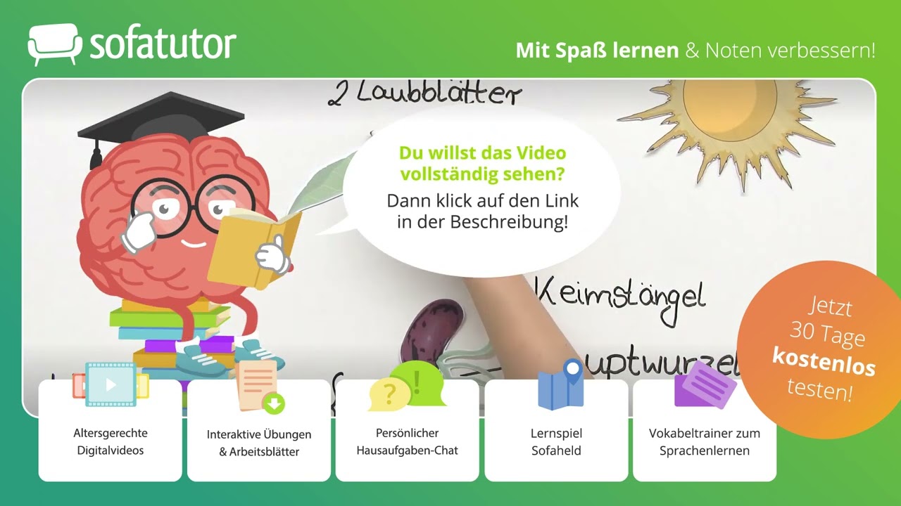 Quellen, Keimung, Wachstum einfach erklärt – Biologie 5. & 6. Klasse
