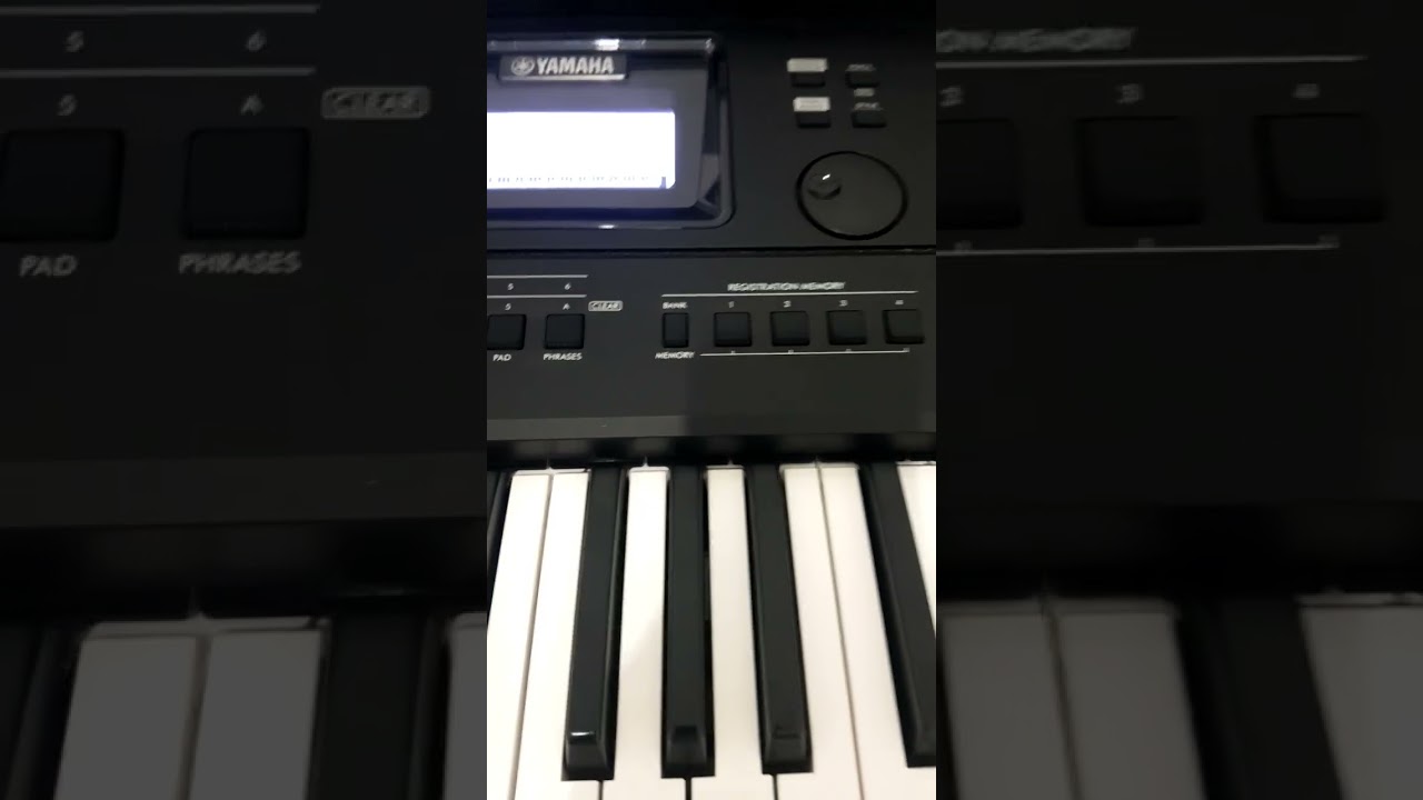 PSR-E483 and EW430 released next year