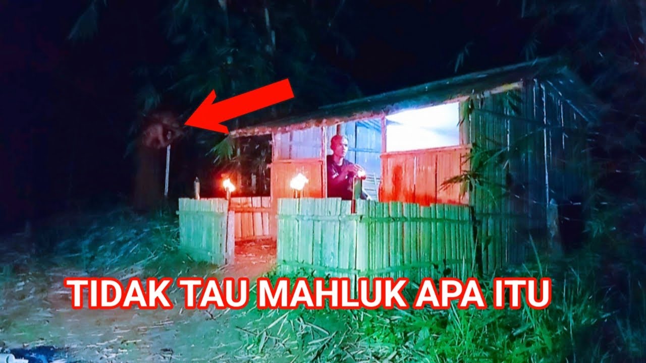 CAMPING HOROR TIDAK TAU MAHLUK APA ITU YANG BERSEMAYAM DI GUBUK KU