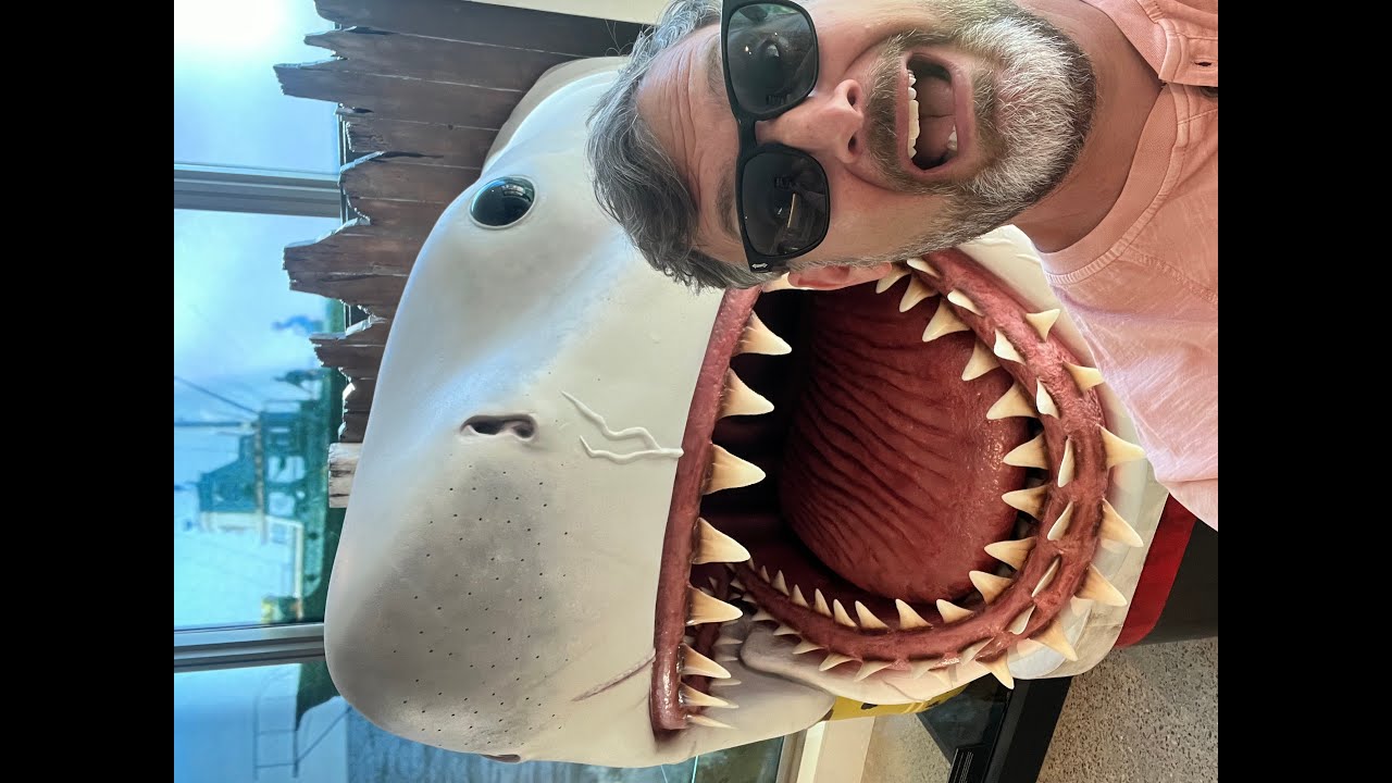 Jaws 50th Anniversary Recap!