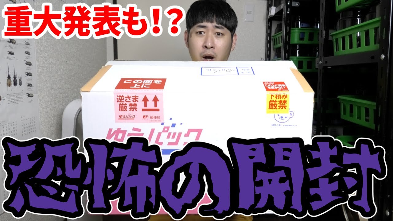 視聴者様から送られてきた虫くじで感情爆発しました