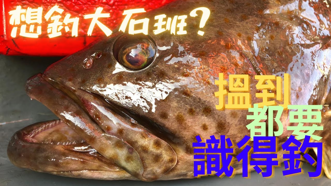 釣班研習班 x 浦台外 【艇釣日誌】香港釣魚