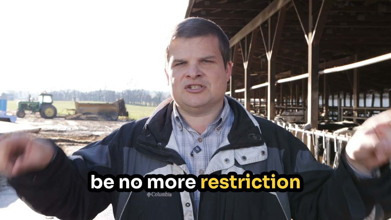 Stop Wasting Money! Where Big Fans Work BEST in Your livestock Barn