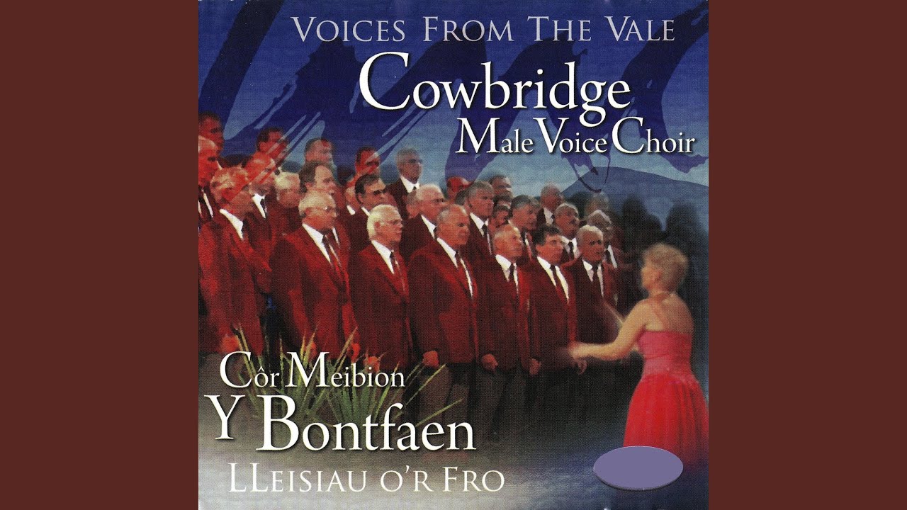 Four Welsh Hymns: Rhagluniaeth Fawr y Nef / Sanctus / Mi Wn Fod Fy Mhrynwr Yn Fyw / Nid Wy'n...