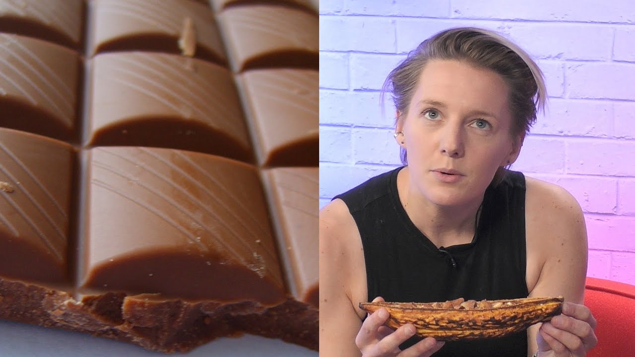 How chocolate gets its flavour | The Royal Society