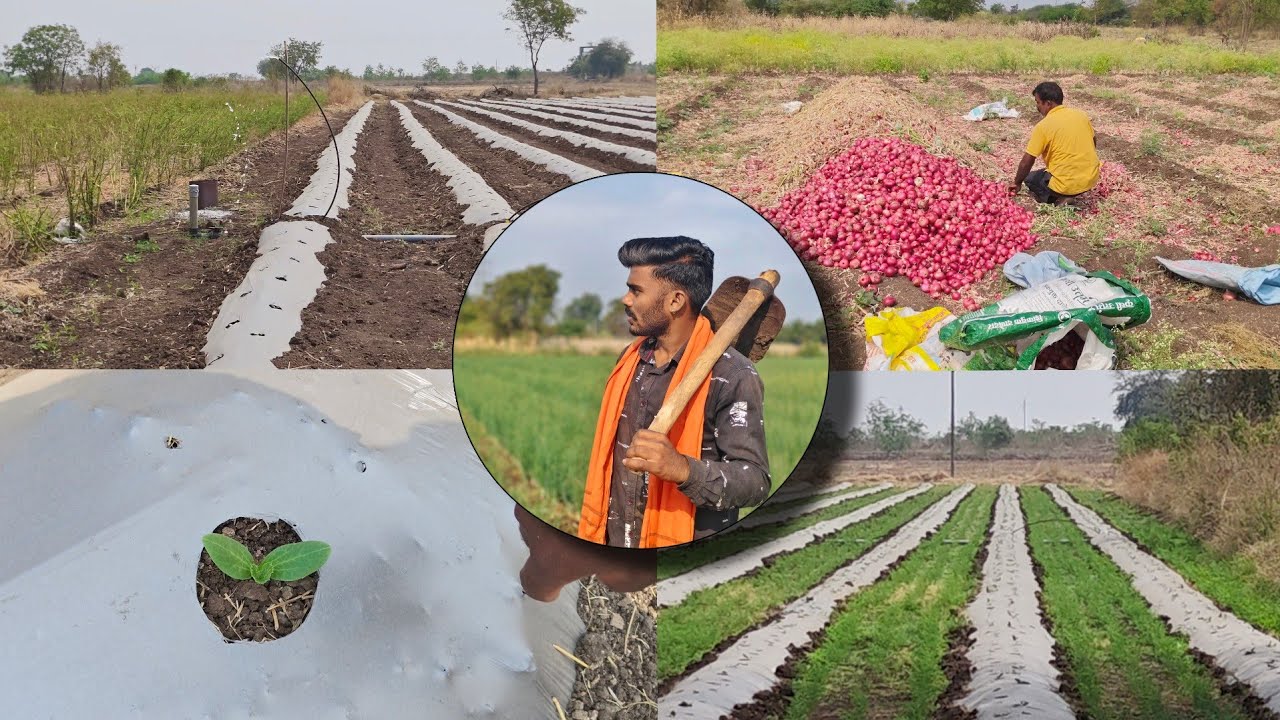 कहितरी आनलय... 🤔 ‎⁨@Piyushsawant-vlogs⁩ #farmingvlog #marathivlog #op #ps   