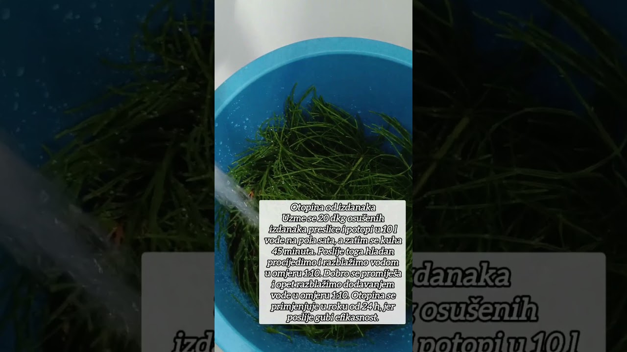 Protiv plamenjače,monilije,pepelnice, hrđe, kovrčavosti,crvenog pauka ,biljne u&scaron;i itd. je - PRESLICA