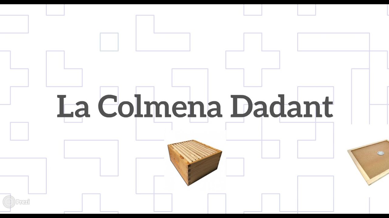 la colmena dadant