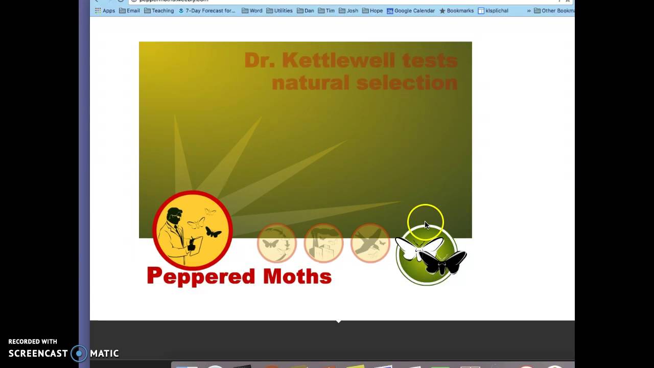 Peppered moth simulation