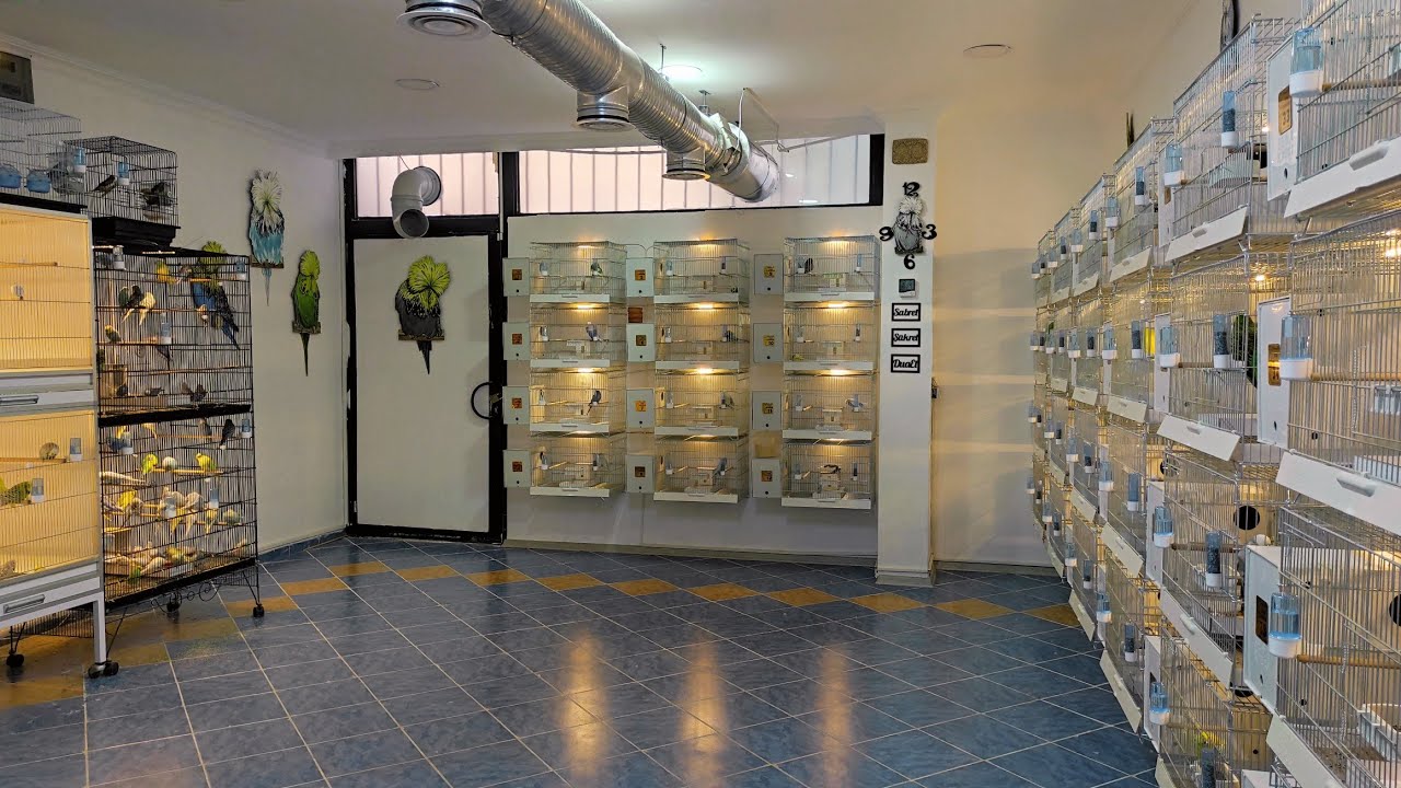 Muhabbet Kuşlarımızın Kafes Düzeni & Silo Yemlikler