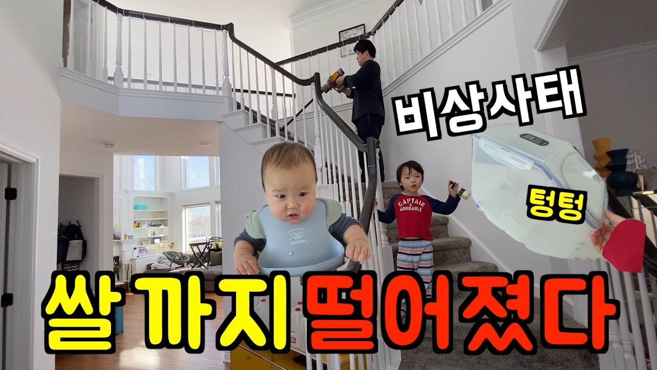 미국 일상 🇺🇸 D-7 생존 비상사태 l 쌀까지 떨어지다니... 😱  미국 브이로그
