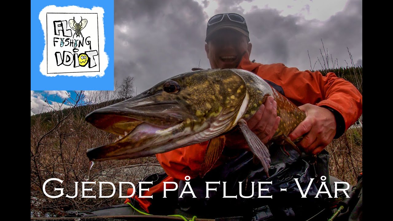 Fluefiske med Jørn: Gjedde på flue om våren