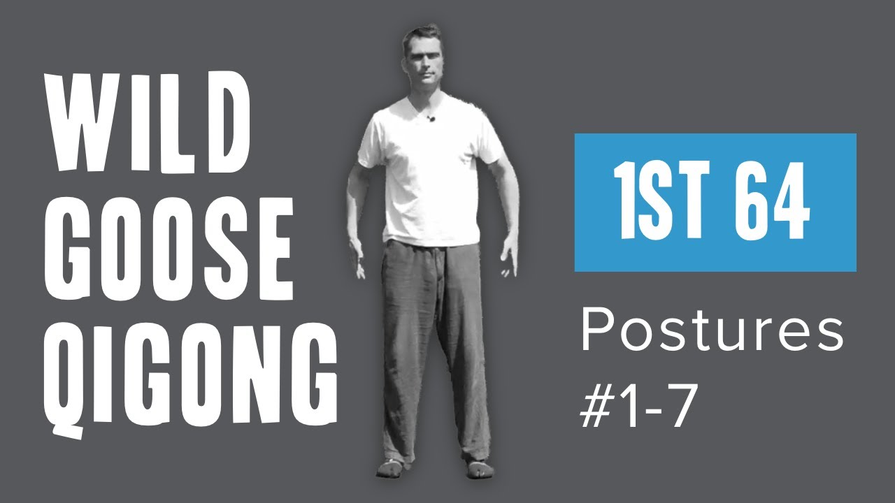 Wild Goose Qigong 大雁氣功: 1st 64, Postures 1-7
