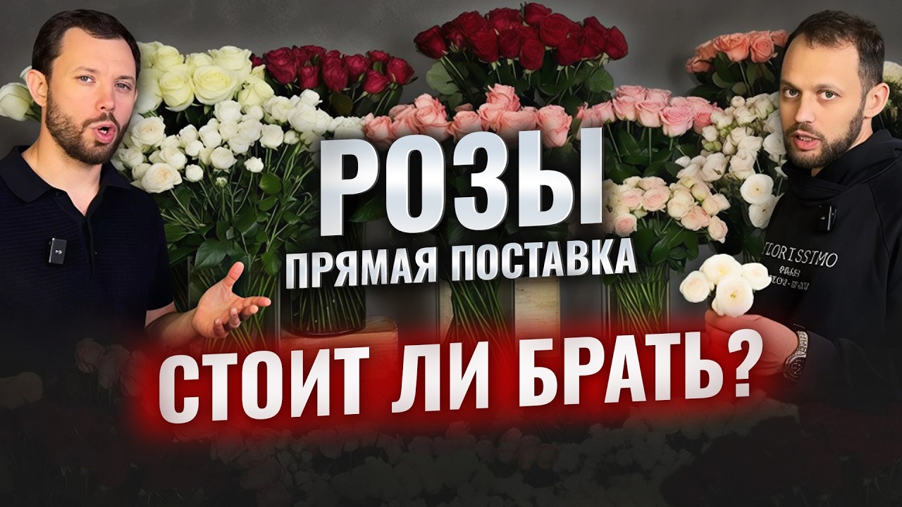 🌹ПРЯМАЯ ПОСТАВКА РОЗ с теплицы Зеленый Дом! Плюсы и минусы. Какие сорта роз мы заказали?