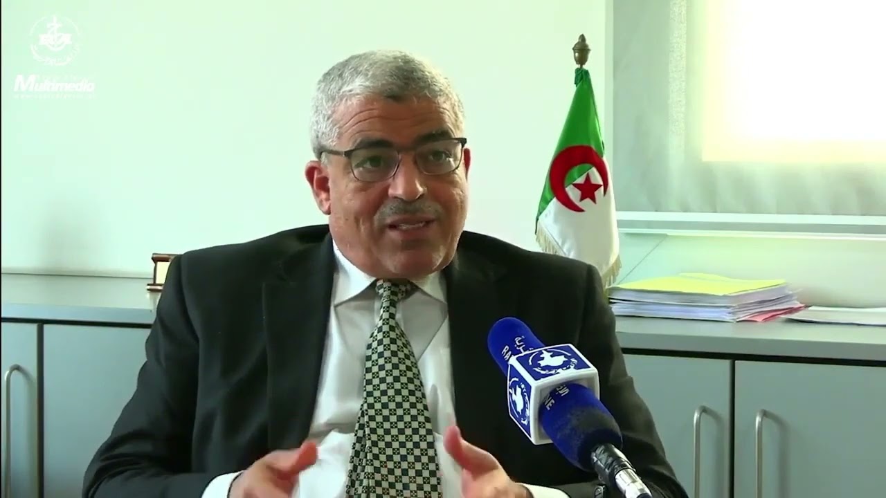 مدير الدراسات الاقتصادية والاستشراف بوزارة الطاقة والمناجم ميلود مجلد