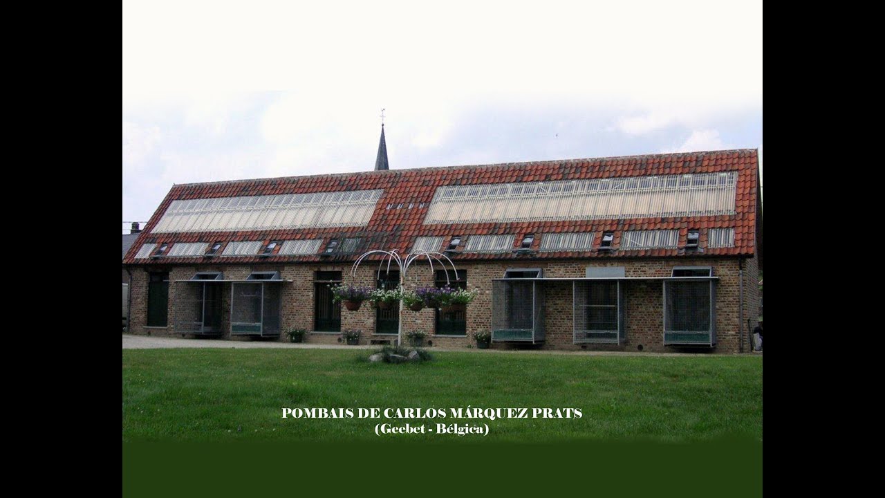 Palomares de palomas de carreras ( Racing pigeons loft )  2ª parte (Paco Prado)