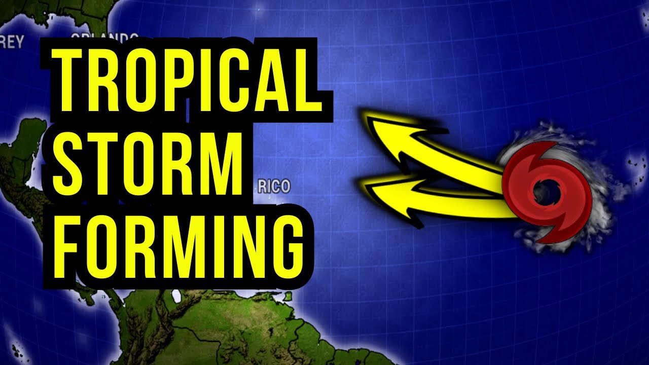 Tropical Storm Likely to Form...