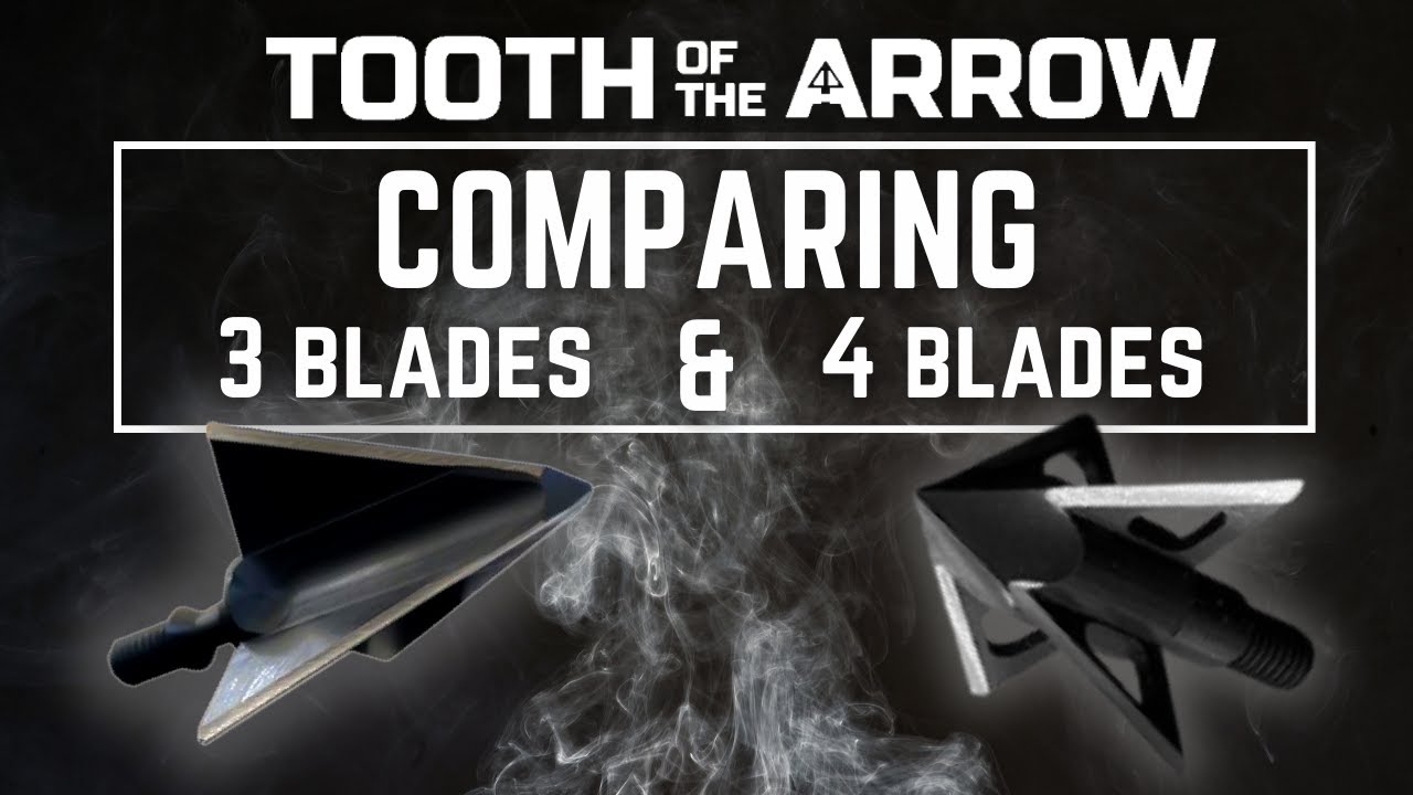 Comparing 3 blade and 4 blade broadheads!