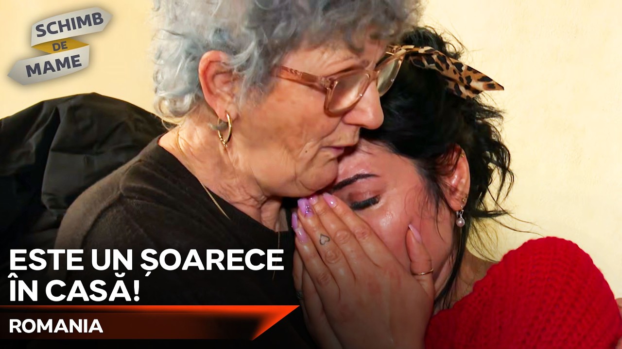 Momente Care Au Speriat-O Pe Mamă  | S34 E2 | Schimb de Mame