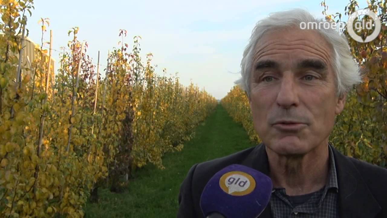 Teelt van appels en peren slecht voor het milieu; bodem vol pesticiden