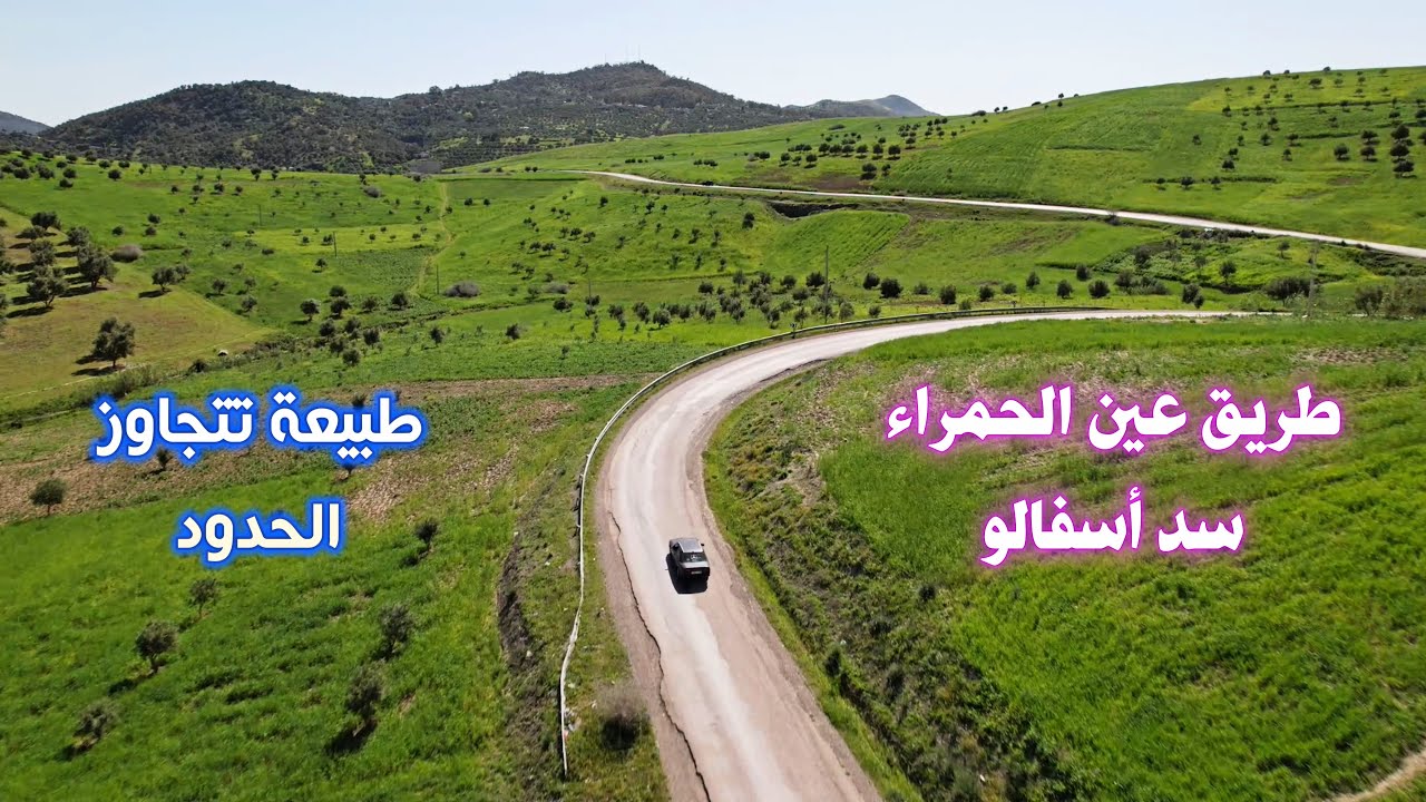 الطريق من عين حمراء الى سد اسفالو الطبيعة الربيعية الساحرة وخطورة المنعرجات