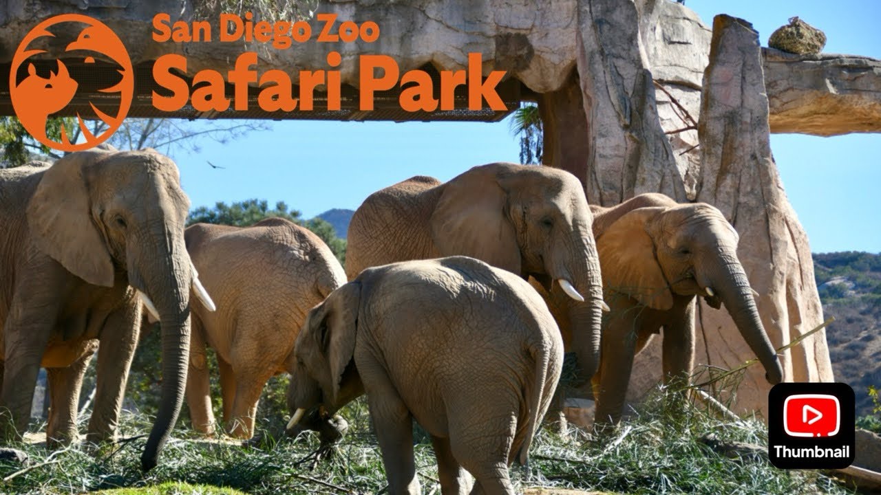Safari Park: Elephant Valley Update October 2024