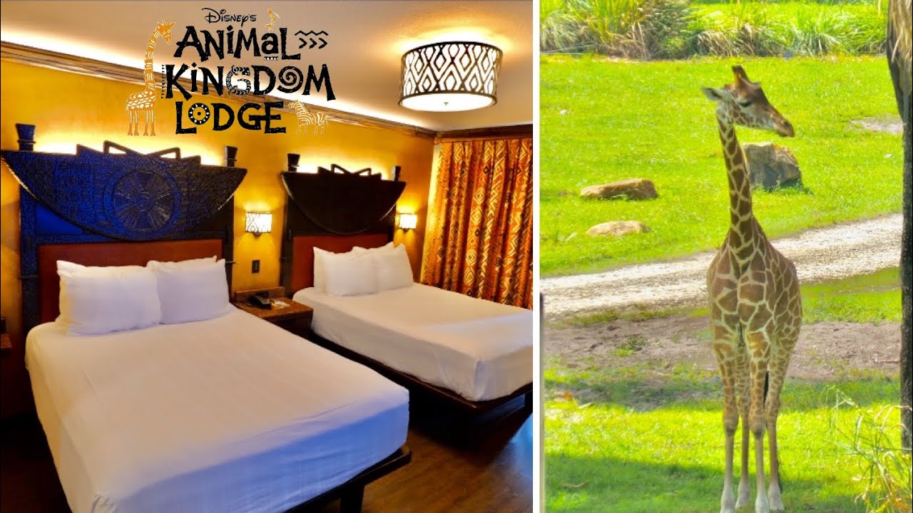 Savanna View Room at Disney's Animal Kingdom Lodge in 4K | Walt Disney World Florida August 2021