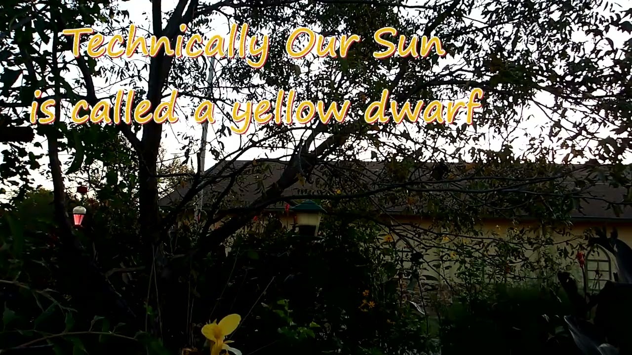 Come Watch a Sunrise With Me