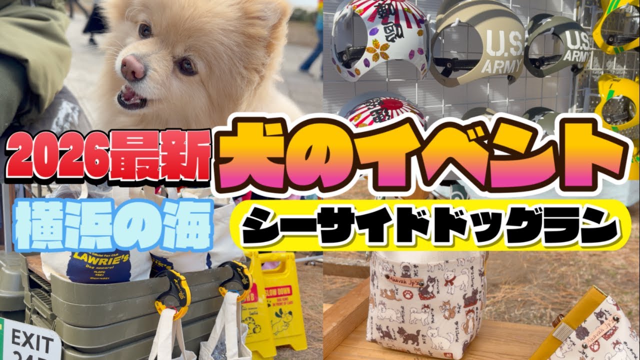 【犬イベント】強風すぎるシーサイドドッグラン　1月10日(土)〜12日(月）