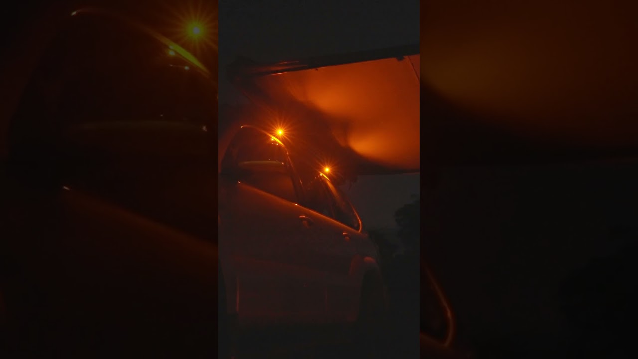 STEDI&trade; Amber LED Rock Lights