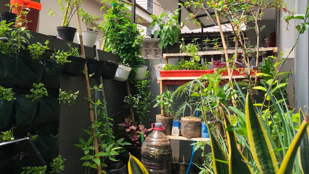 #GardenVlog01: Menata Kebun Menjadi Rapi Dengan Rak Tanaman Sederhana