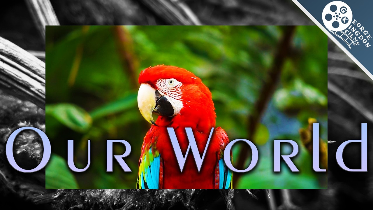 Our World - Experimental Film