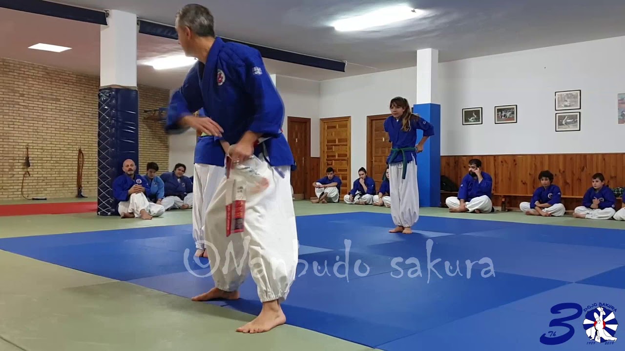Randori Irimi no kata (NANBUDO)