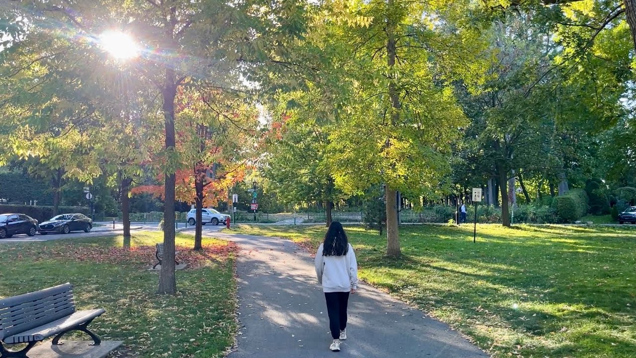 Vivre à Montréal  🐿️ : avantages & inconvénients 🍁