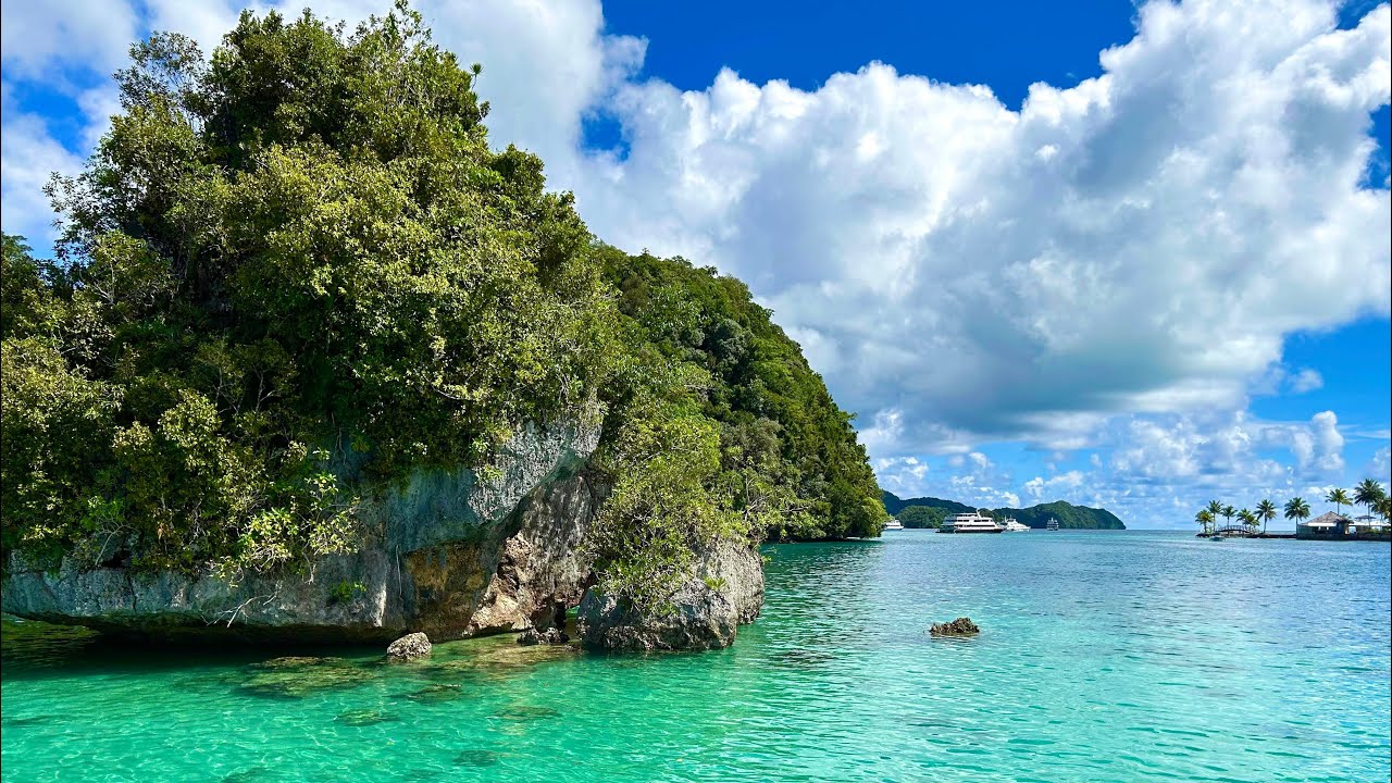 Koror, Palau: A Peaceful Coastal Walk with Stunning Ocean Views #travel #nature