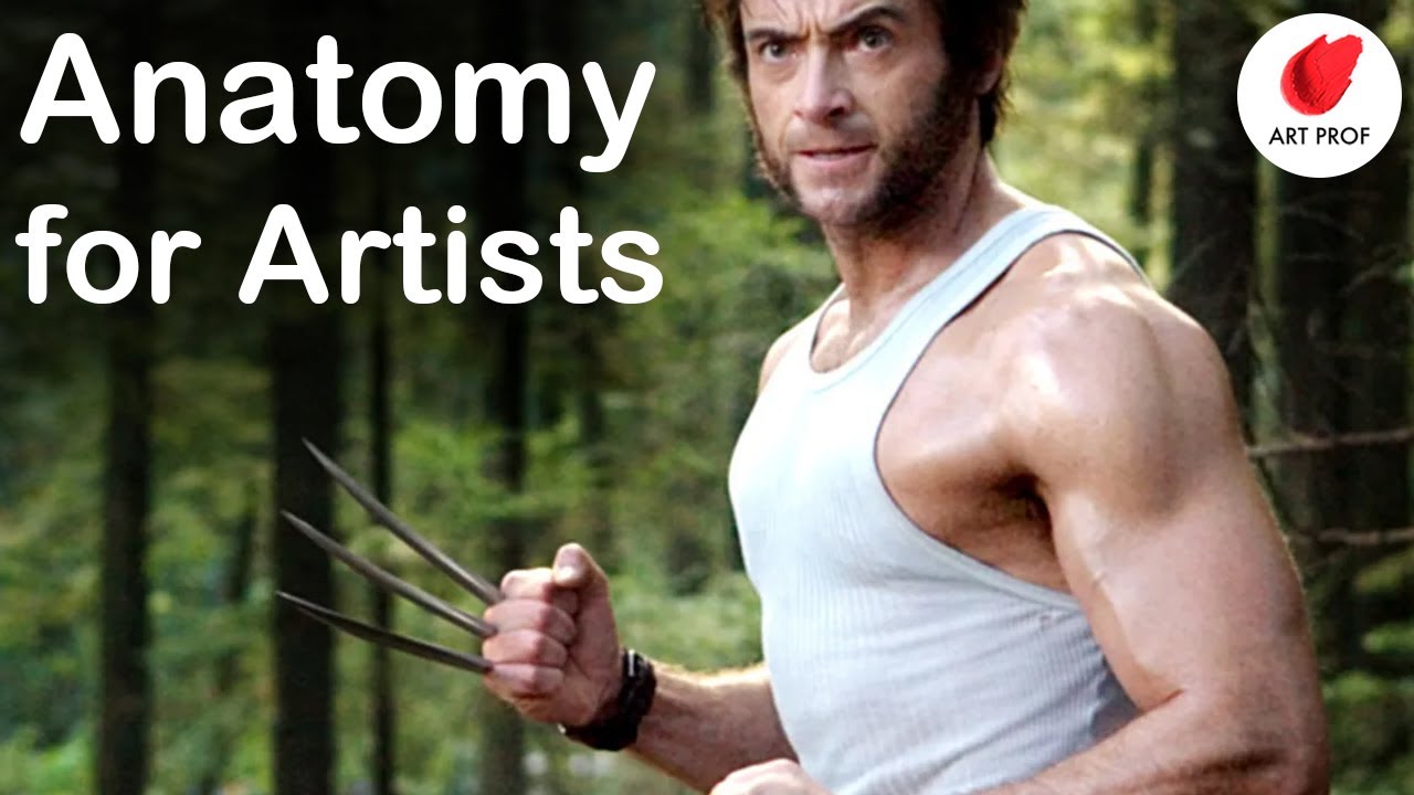 You've Never Seen an Anatomy Lecture like this for Artists