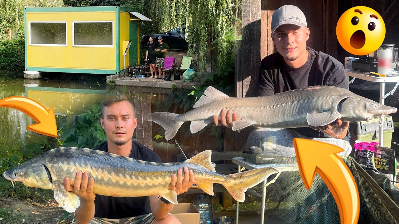 OGROMNE RYBY NA ŁOWISKU 😍 Jesiotry, Sumy, Karpie 😲 POŁÓW MARZEŃ! (VLOG Z RYB)