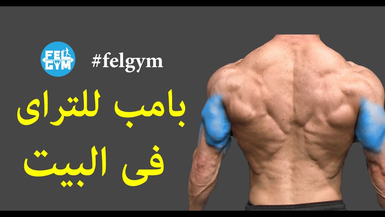 يلا نفجر عضلة التراى فى البيت | Triceps home training
