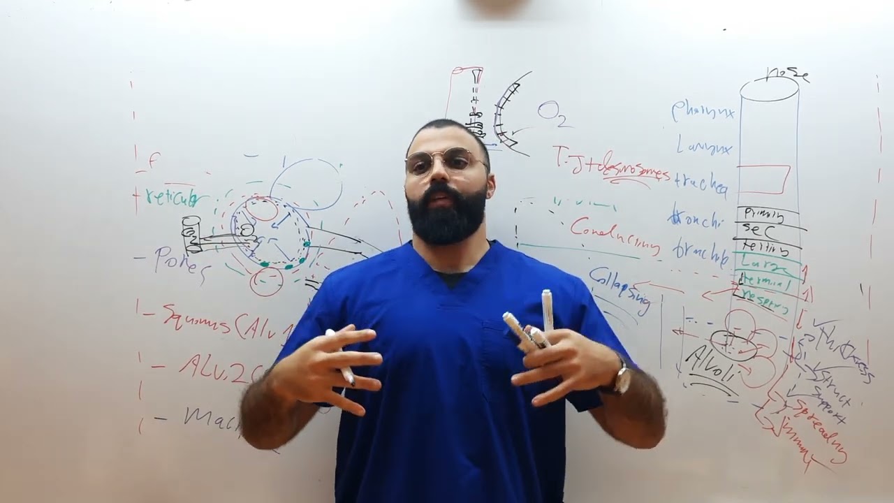 histology of respiratory system | conducting and respiratory zone | part 3; last part