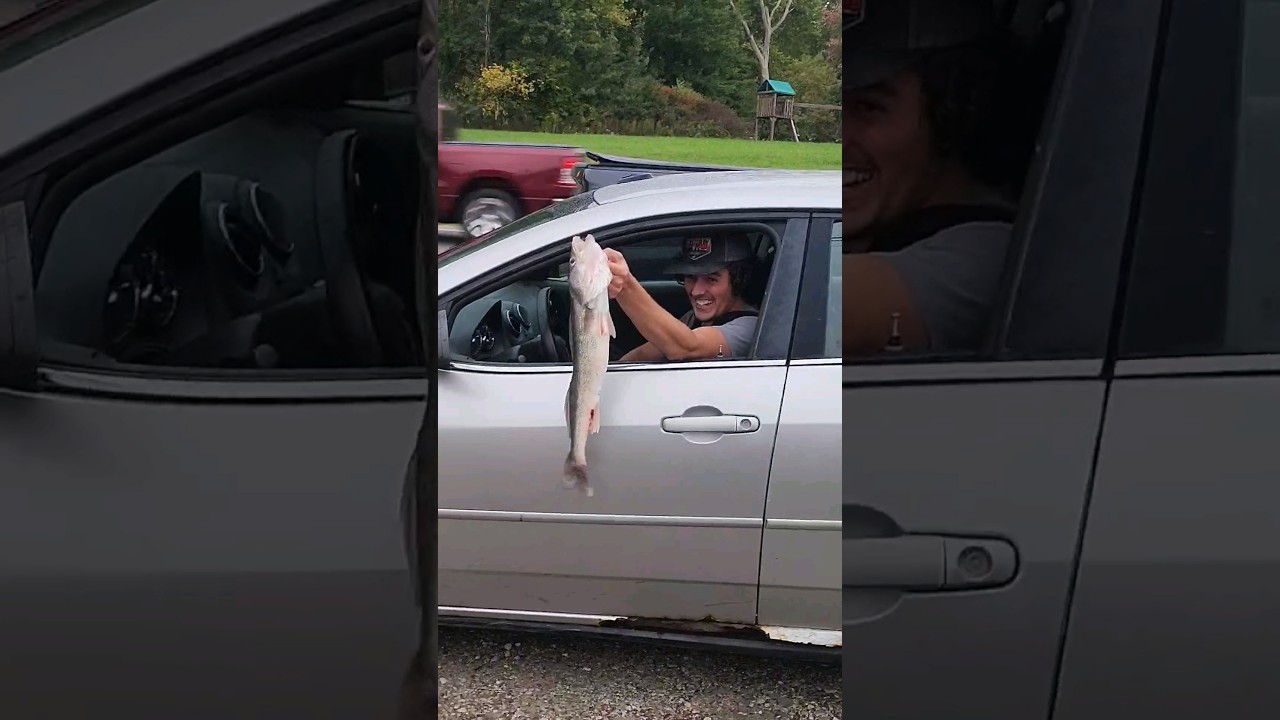 Driving with a Fish! No Stringer! #fishing #castcray #funny #shorts #shortsvideo