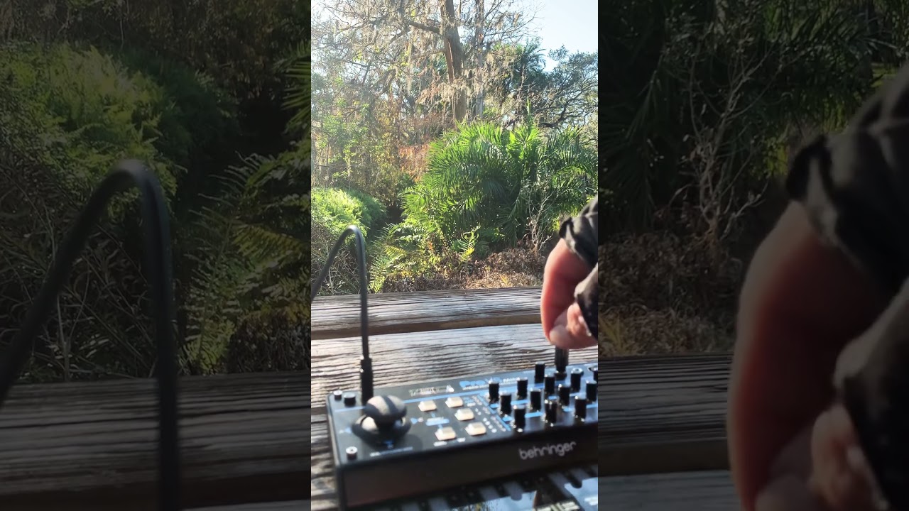 @behringer #behringerProVSmini #floridaparks #synthpatchers #synthesizer #ambientelectronic #synth