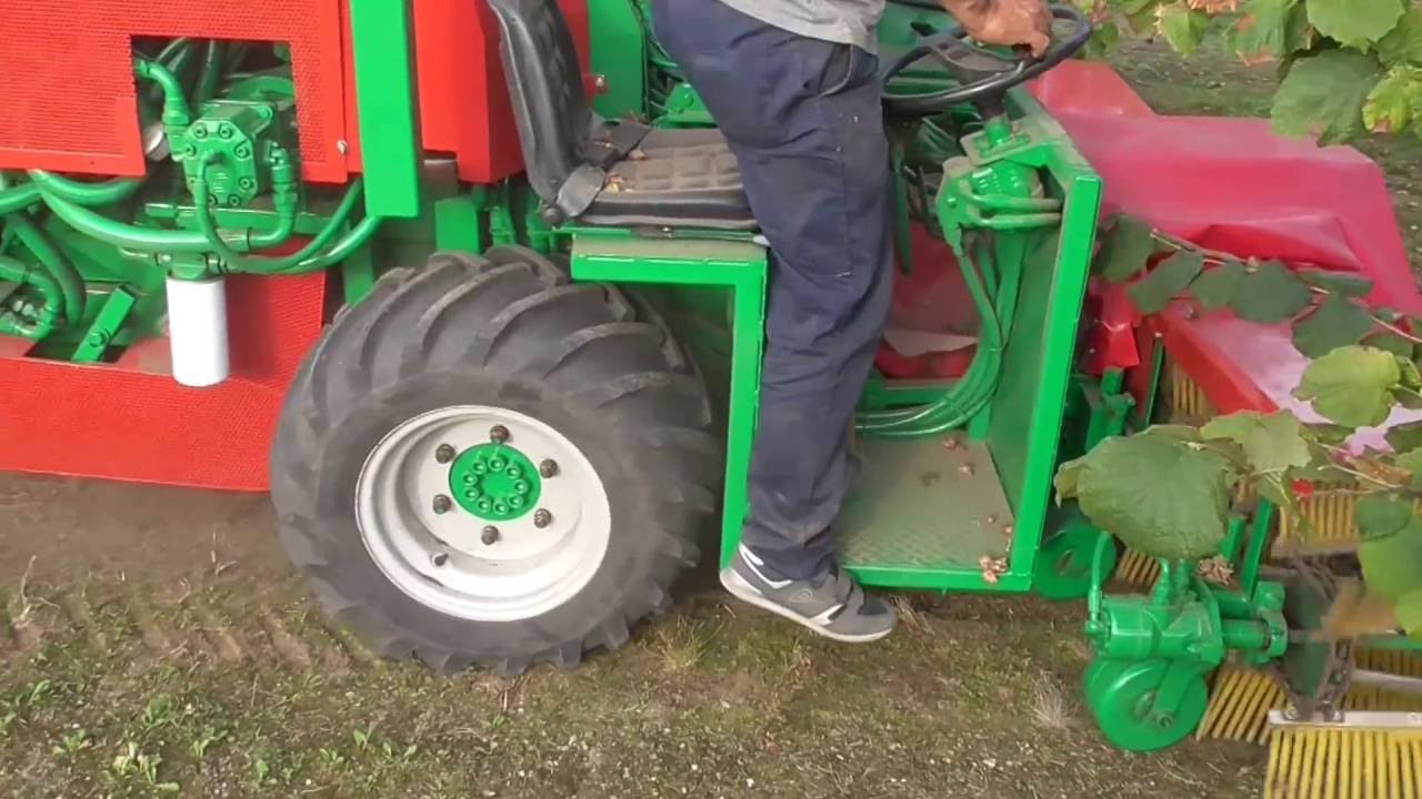 Giampi nut harvester Machinery