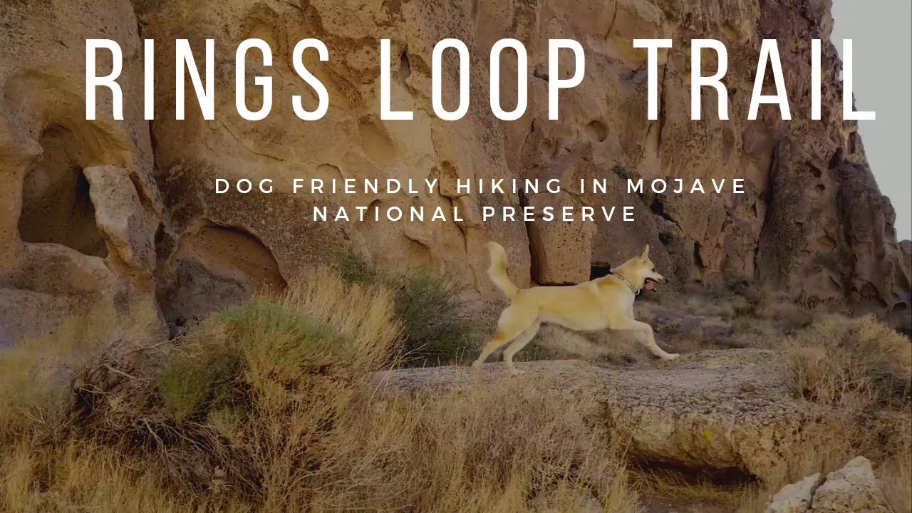 Hiking the Rings Loop Trail at the Hole-in-the-wall Campground in the Mojave National Preserve