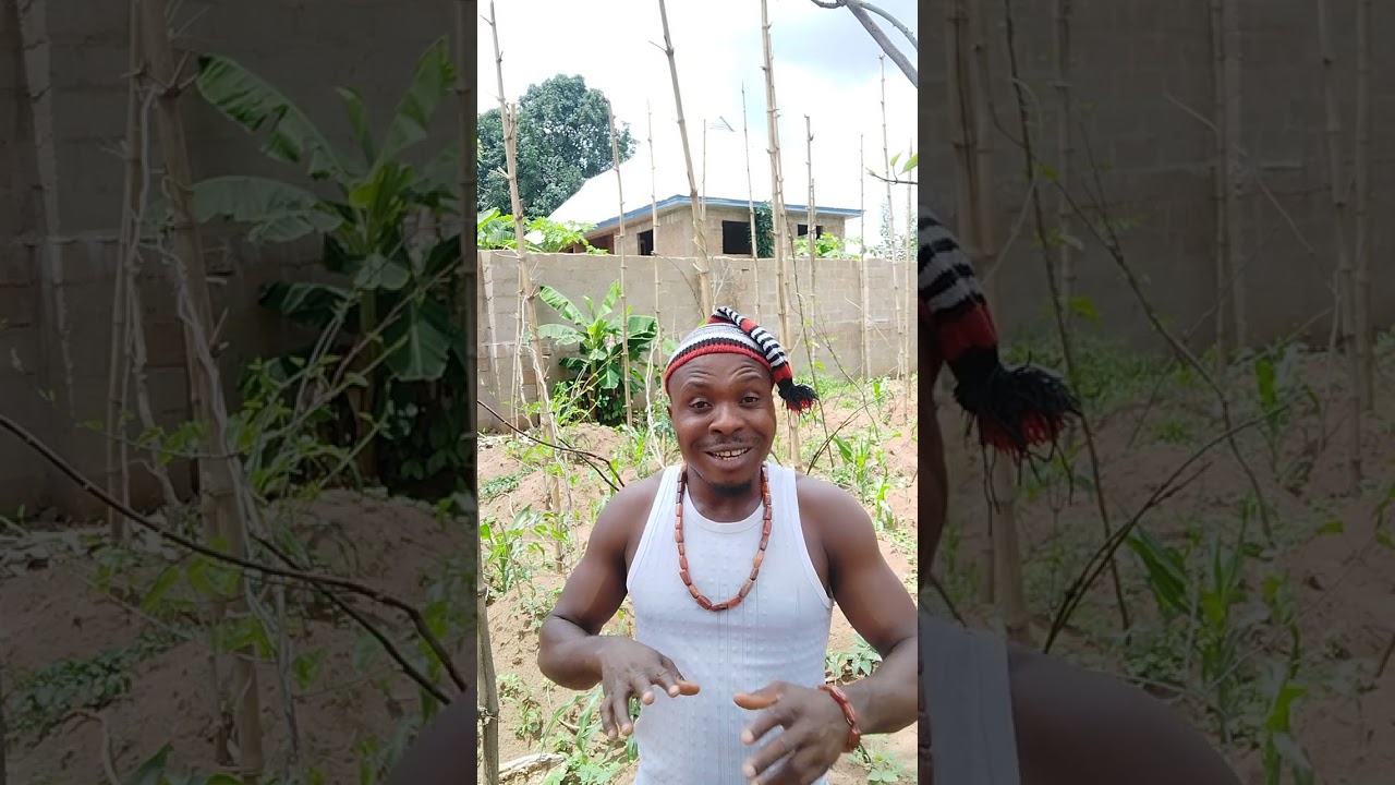 Ọgbọnuke, Uke, Ogbanje explained. By Akajiọfọ Ezinwa Anaedo 08032477868