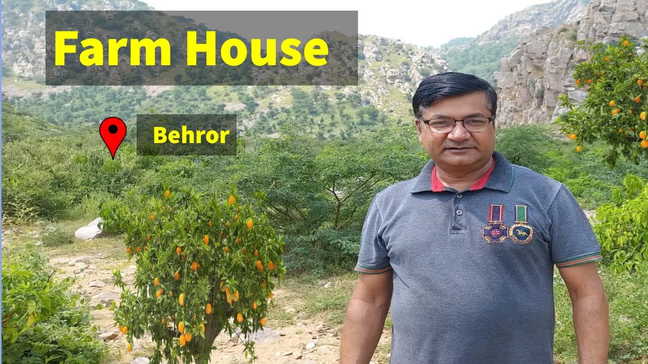 Farm House in Behror Rajasthan ll 110 Bigha ll Dharmander Saini