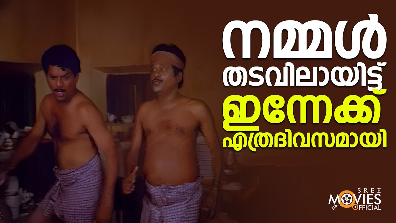 നമ്മൾ തടവിലായിട്ട് ഇന്നേക്ക് എത്രദിവസമായി | Loose Loose Arappiri Loose Movie Scene |Jagathy | Pappu