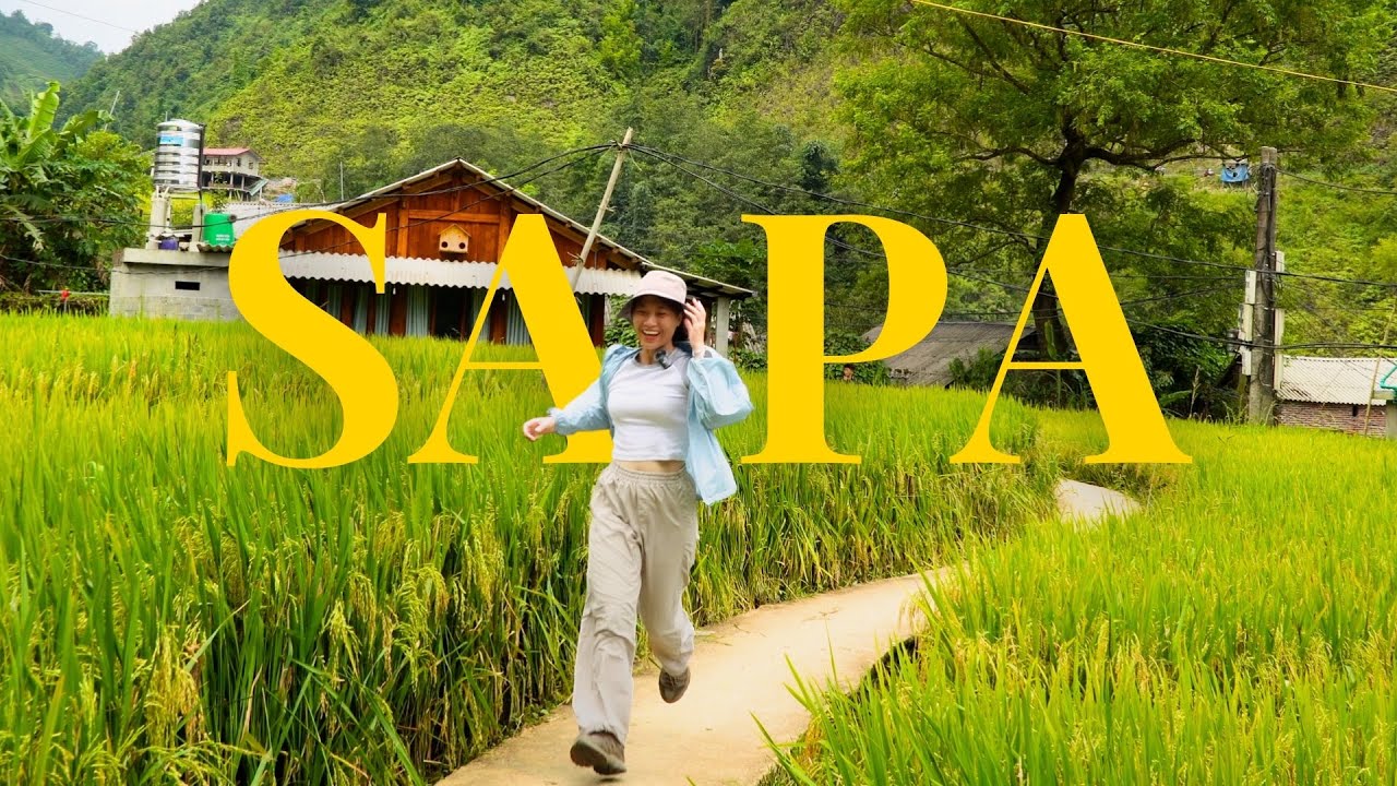 Đi giữa bản và làng, giữa ruộng và núi | Du lịch Sapa (Sa Pa) mùa lúa chín