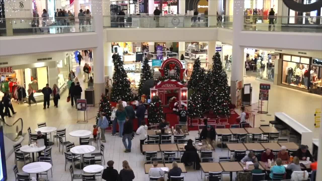 Planning to shop on Black Friday? Here's your shopping guide
