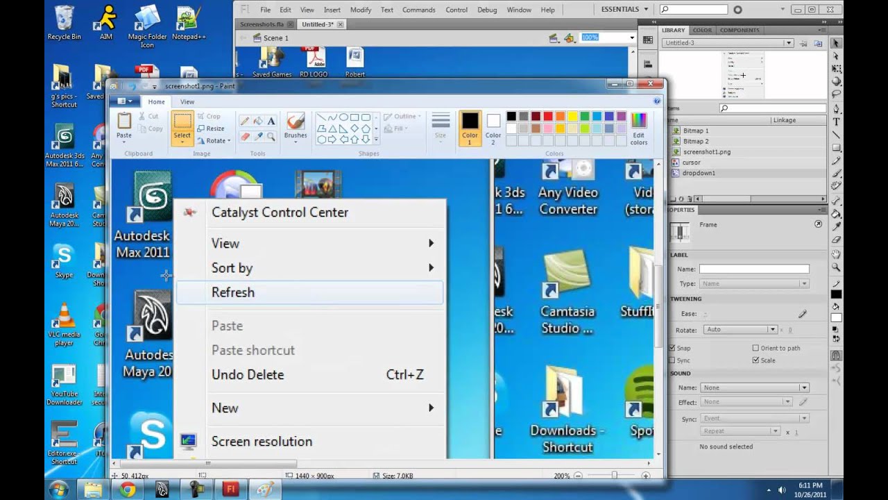 ALAN BECKER - Using Screenshots in Flash